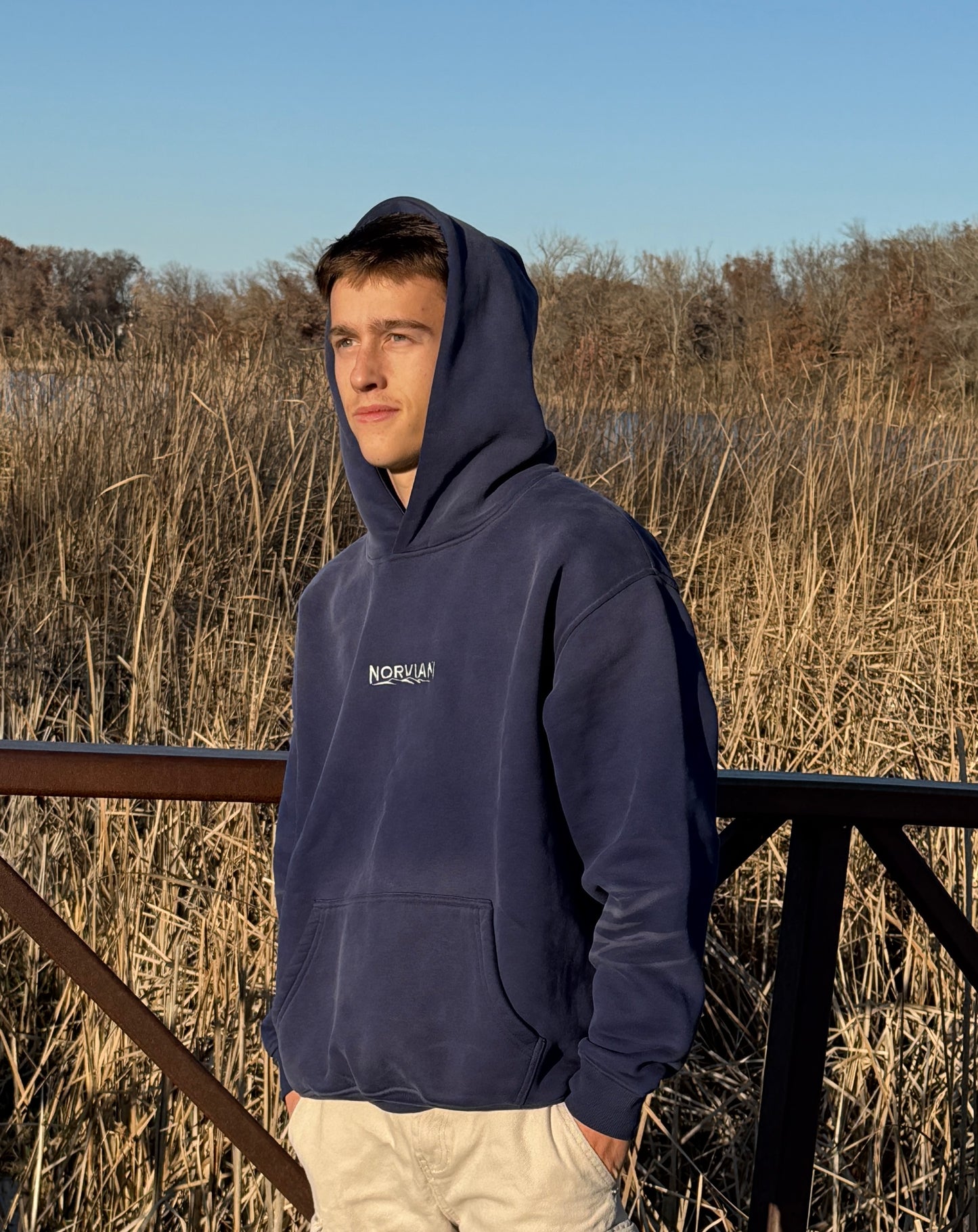 Strype Hoodie